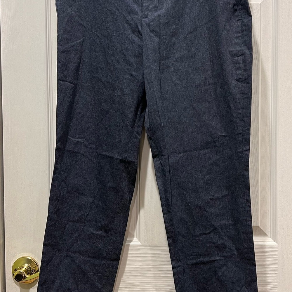 Express Men's Navy Blue Dress Pants